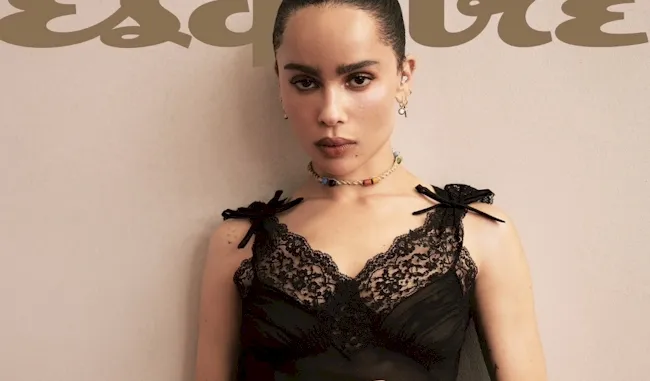 Zoe Kravitz nude see through